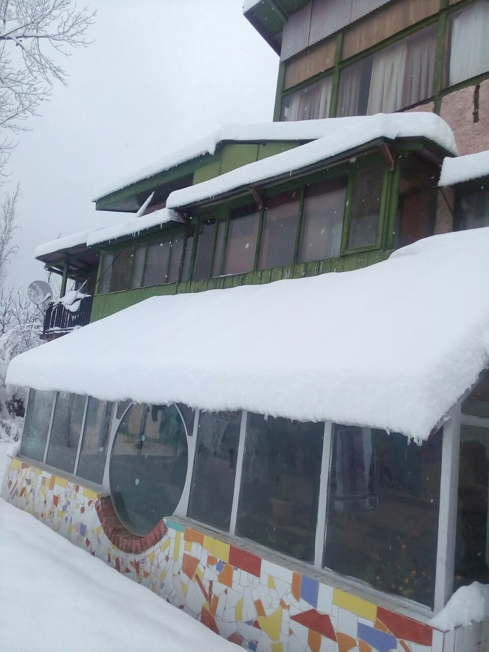 雪の積もった森