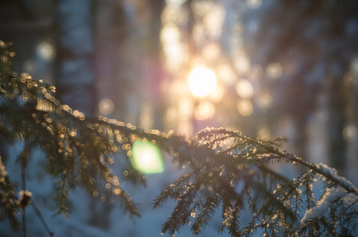 雪のフィンランドの町