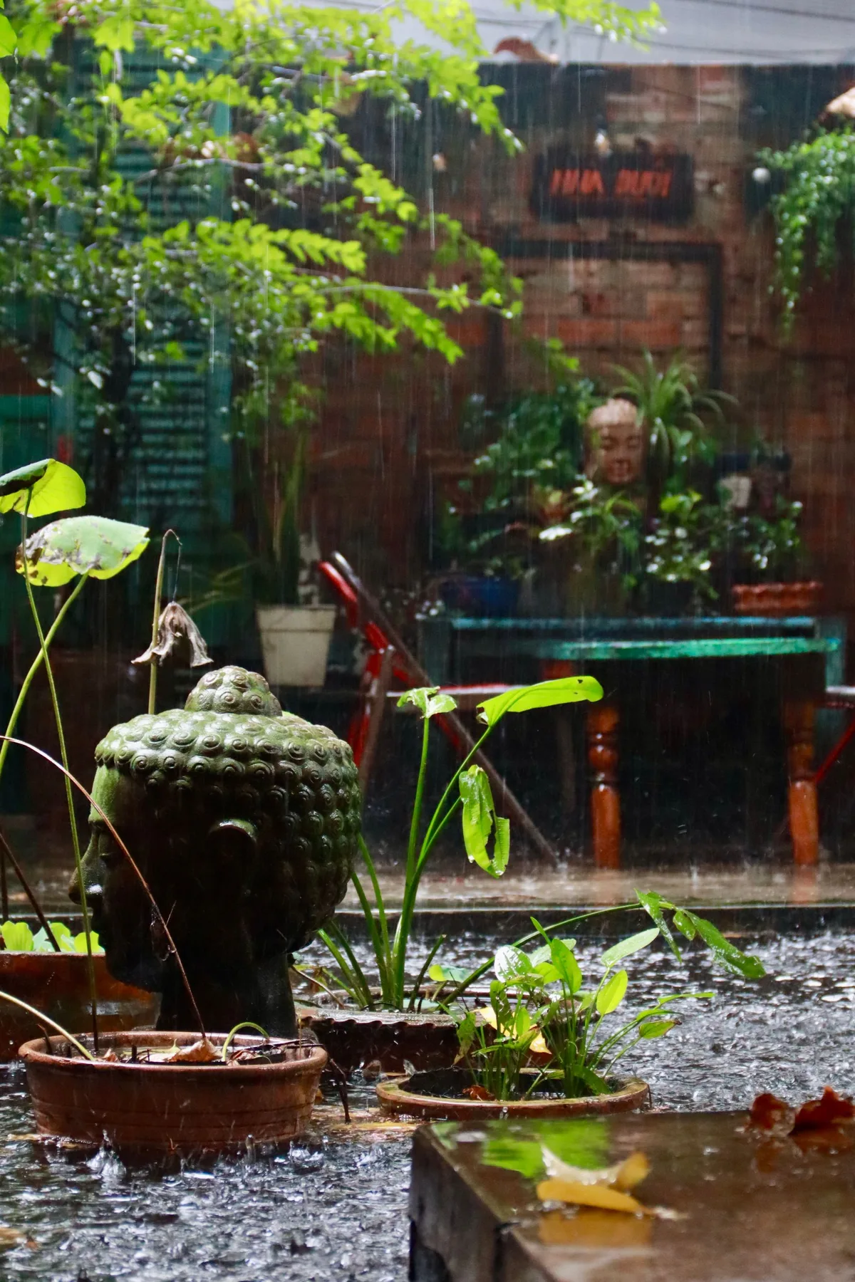 雨の中の禅の庭